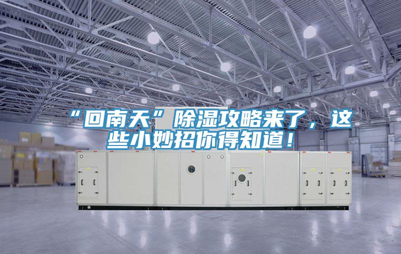 “回南天”除濕攻略來(lái)了，這些小妙招你得知道！