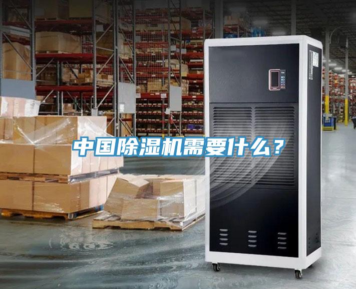 中國除濕機需要什么？