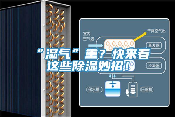 “濕氣”重？快來看這些除濕妙招！