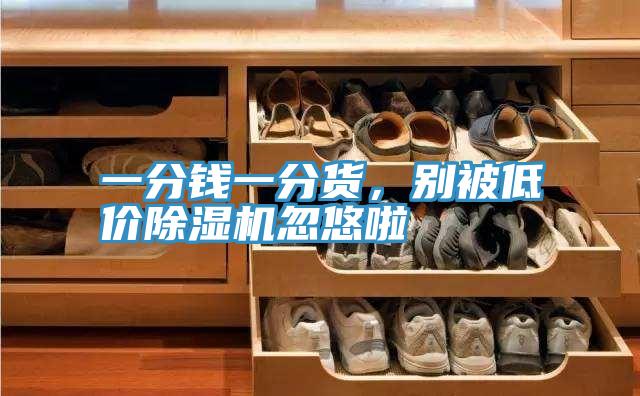 一分錢一分貨，別被低價除濕機忽悠啦