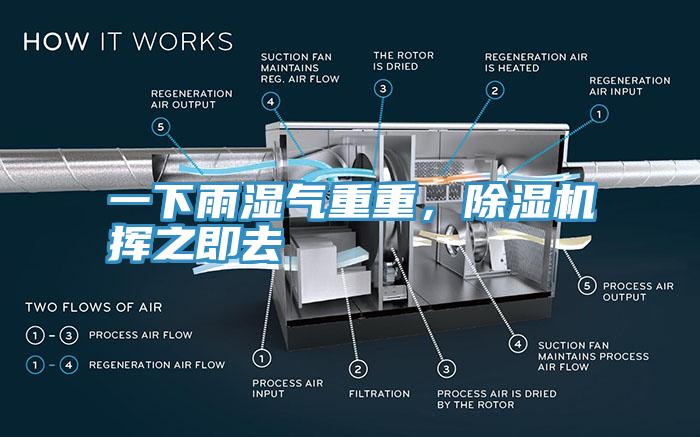 一下雨濕氣重重，除濕機揮之即去
