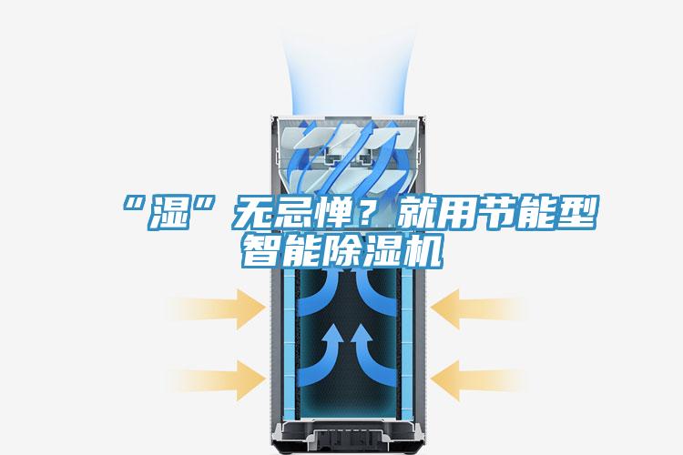 “濕”無忌憚？就用節(jié)能型智能除濕機(jī)