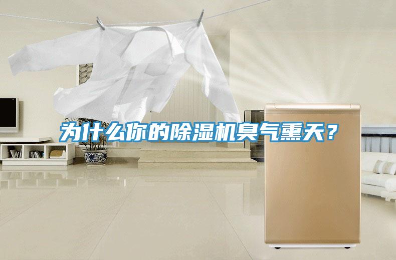 為什么你的除濕機(jī)臭氣熏天？
