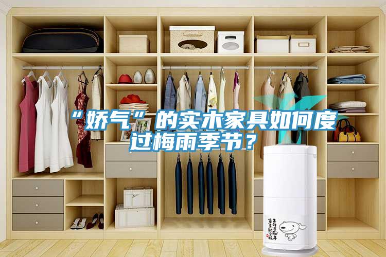 “嬌氣”的實木家具如何度過梅雨季節(jié)？