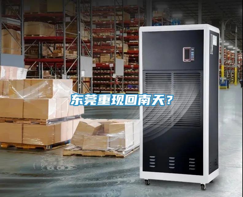 東莞重現(xiàn)回南天？