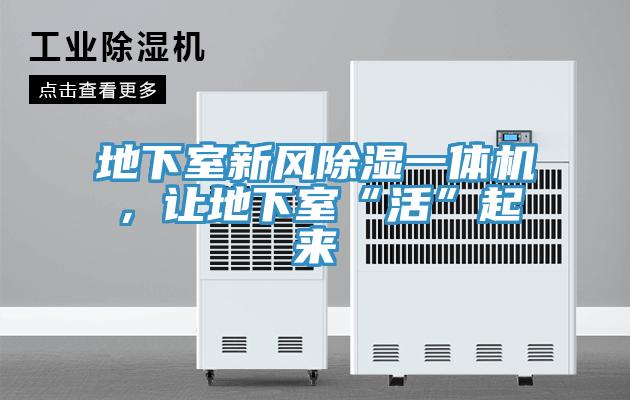 地下室新風(fēng)除濕一體機，讓地下室“活”起來