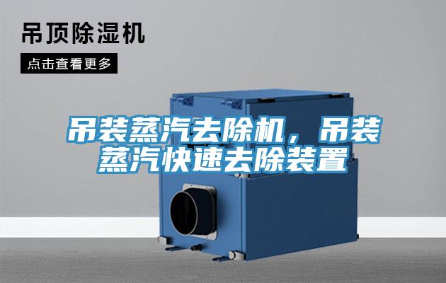 吊裝蒸汽去除機(jī)，吊裝蒸汽快速去除裝置