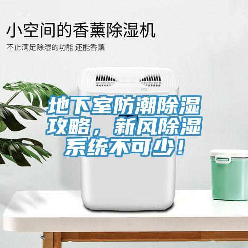 地下室防潮除濕攻略，新風(fēng)除濕系統(tǒng)不可少！