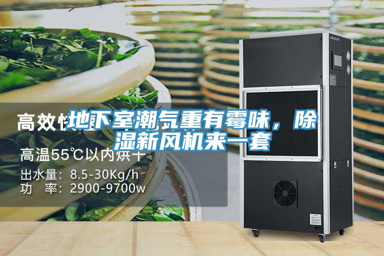 地下室潮氣重有霉味，除濕新風(fēng)機來一套