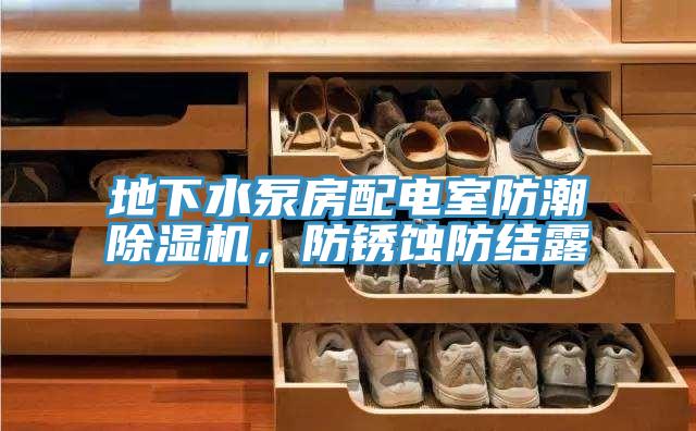 地下水泵房配電室防潮除濕機(jī)，防銹蝕防結(jié)露