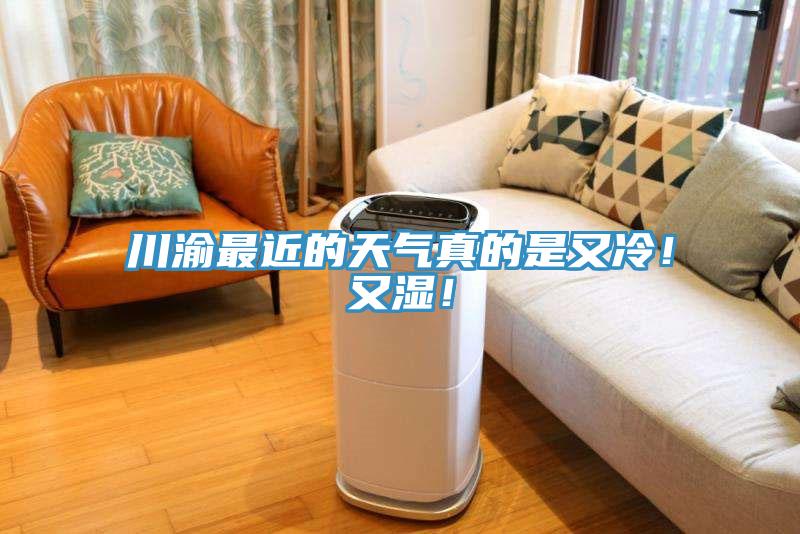 川渝最近的天氣真的是又冷！又濕！