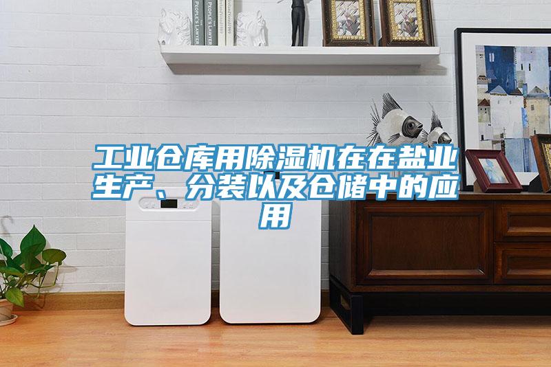 工業(yè)倉庫用除濕機(jī)在在鹽業(yè)生產(chǎn)、分裝以及倉儲中的應(yīng)用