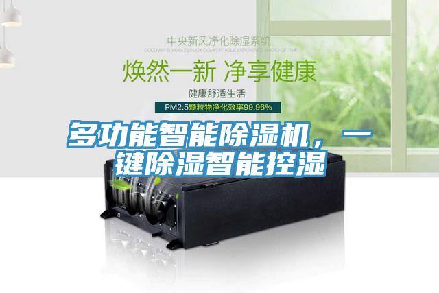 多功能智能除濕機(jī)，一鍵除濕智能控濕
