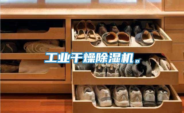 工業(yè)干燥除濕機(jī)。