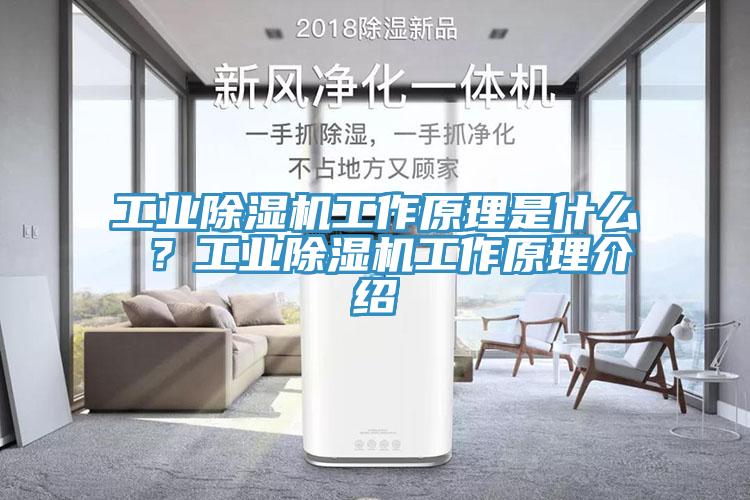 工業(yè)除濕機工作原理是什么 ？工業(yè)除濕機工作原理介紹