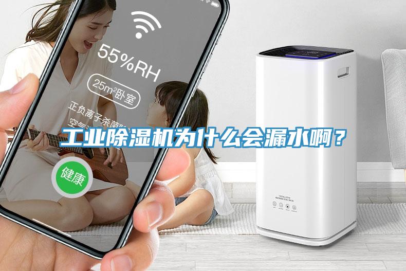 工業(yè)除濕機(jī)為什么會(huì)漏水?。?/></p>
                            <p style=
