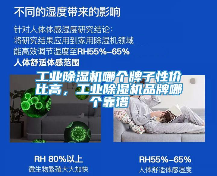 工業(yè)除濕機(jī)哪個(gè)牌子性價(jià)比高，工業(yè)除濕機(jī)品牌哪個(gè)靠譜