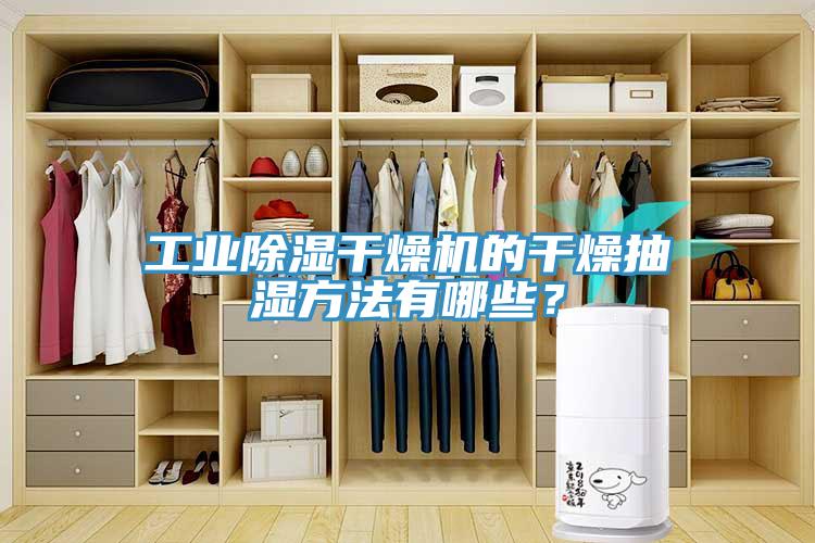 工業(yè)除濕干燥機的干燥抽濕方法有哪些？