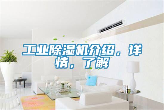 工業(yè)除濕機介紹，詳情，了解