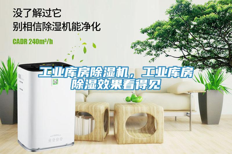 工業(yè)庫房除濕機(jī)，工業(yè)庫房除濕效果看得見