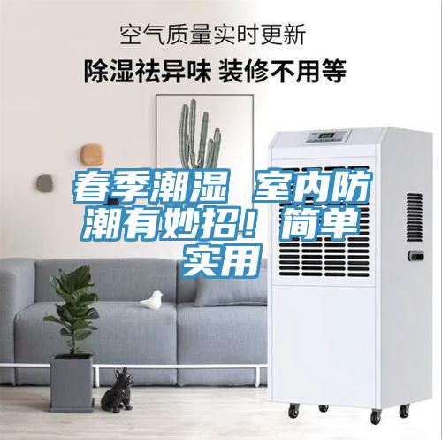 春季潮濕 室內防潮有妙招！簡單實用