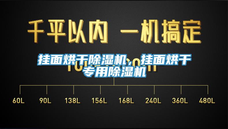 掛面烘干除濕機(jī)，掛面烘干專用除濕機(jī)