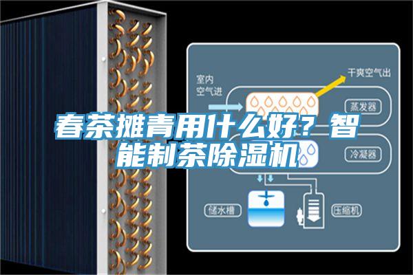 春茶攤青用什么好？智能制茶除濕機(jī)