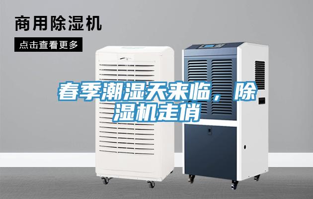春季潮濕天來(lái)臨，除濕機(jī)走俏