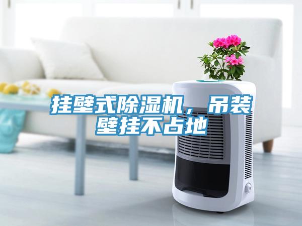 掛壁式除濕機(jī)，吊裝壁掛不占地