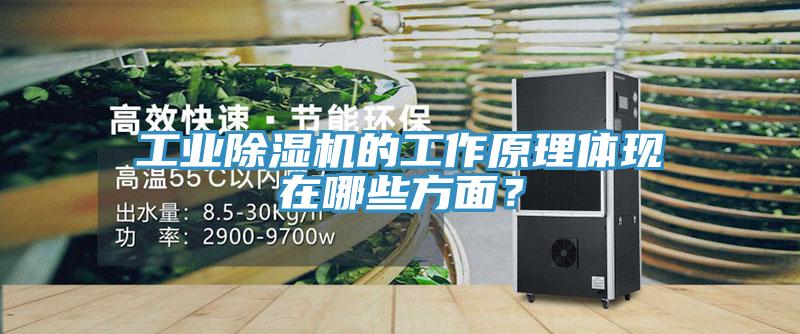 工業(yè)除濕機(jī)的工作原理體現(xiàn)在哪些方面？