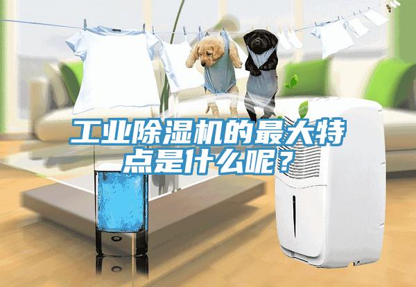 工業(yè)除濕機(jī)的最大特點(diǎn)是什么呢？