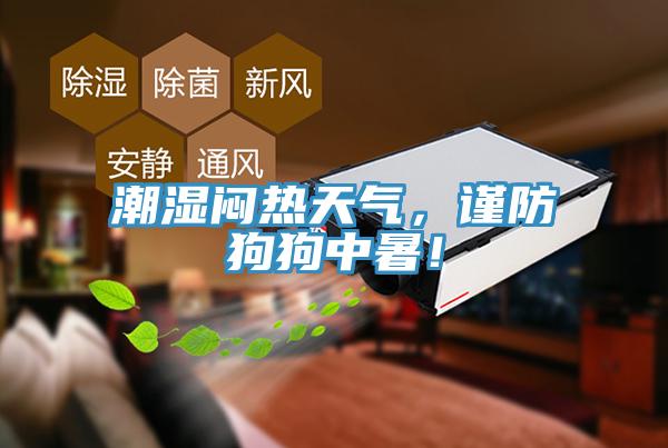 潮濕悶熱天氣，謹(jǐn)防狗狗中暑！