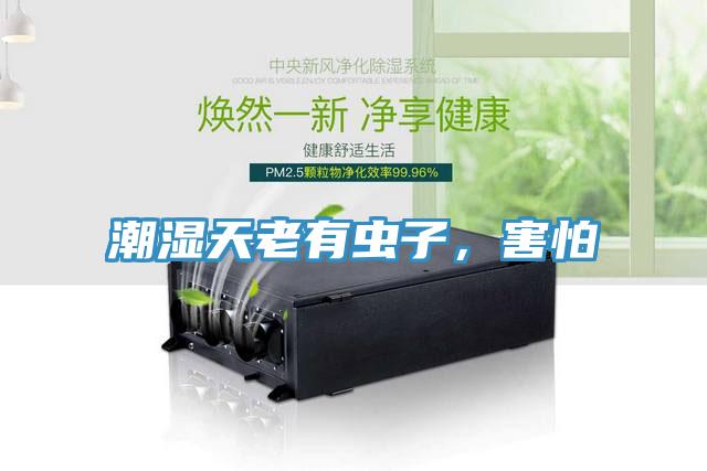 潮濕天老有蟲子，害怕