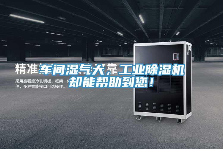 車間濕氣大，工業(yè)除濕機卻能幫助到您！