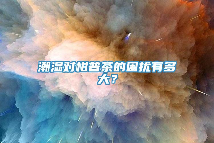 潮濕對柑普茶的困擾有多大？