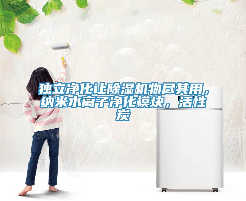 獨(dú)立凈化讓除濕機(jī)物盡其用，納米水離子凈化模塊，活性炭