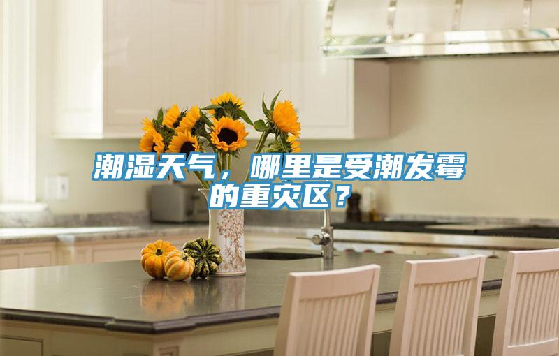 潮濕天氣，哪里是受潮發(fā)霉的重災(zāi)區(qū)？