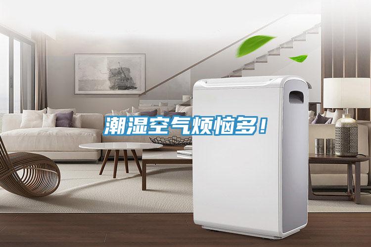 潮濕空氣煩惱多！