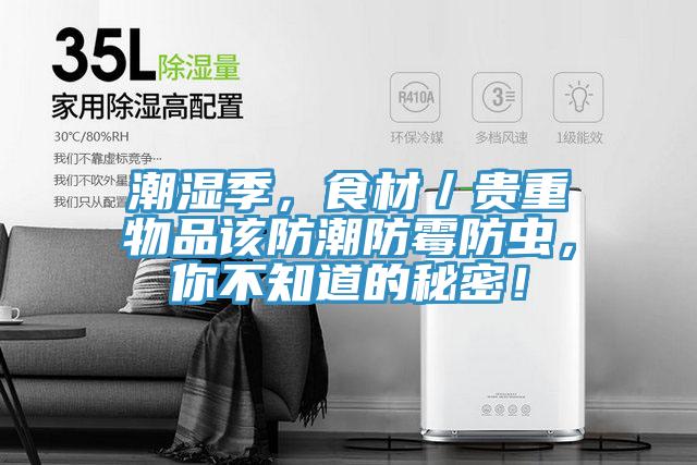 潮濕季，食材／貴重物品該防潮防霉防蟲，你不知道的秘密！