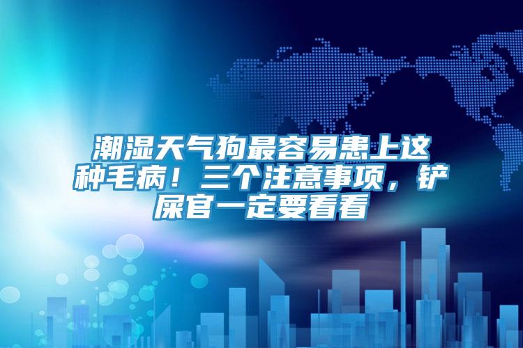 潮濕天氣狗最容易患上這種毛病！三個注意事項，鏟屎官一定要看看