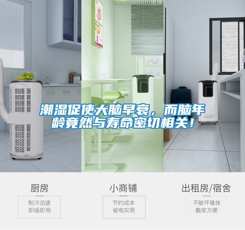 潮濕促使大腦早衰，而腦年齡竟然與壽命密切相關(guān)！