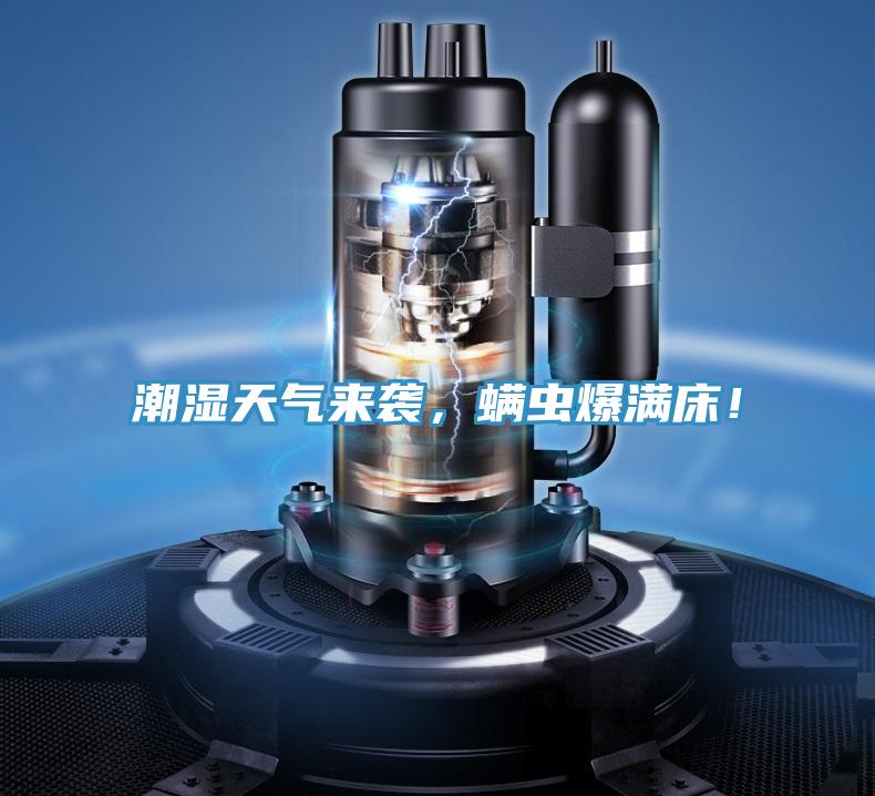 潮濕天氣來襲，螨蟲爆滿床！
