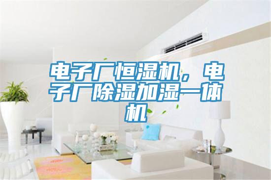 電子廠恒濕機(jī)，電子廠除濕加濕一體機(jī)