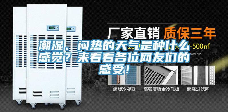 潮濕、悶熱的天氣是種什么感覺？來看看各位網友們的感受！