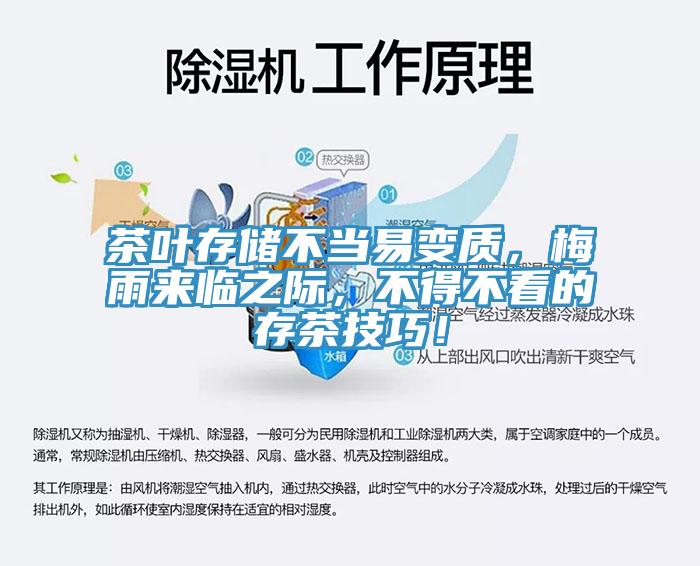 茶葉存儲(chǔ)不當(dāng)易變質(zhì)，梅雨來臨之際，不得不看的存茶技巧！