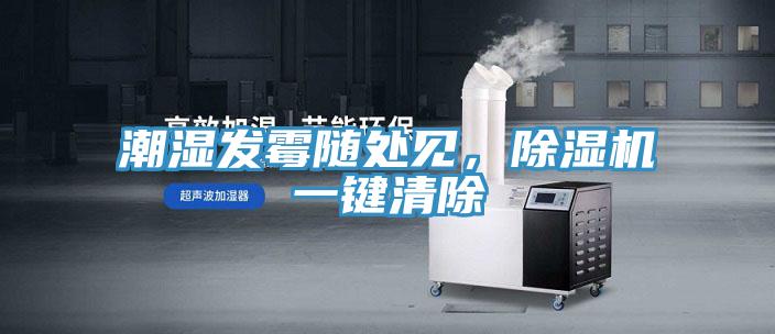 潮濕發(fā)霉隨處見，除濕機(jī)一鍵清除