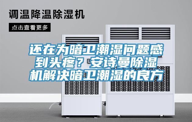 還在為暗衛(wèi)潮濕問題感到頭疼？安詩曼除濕機解決暗衛(wèi)潮濕的良方