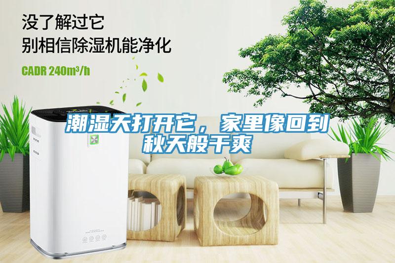 潮濕天打開它，家里像回到秋天般干爽