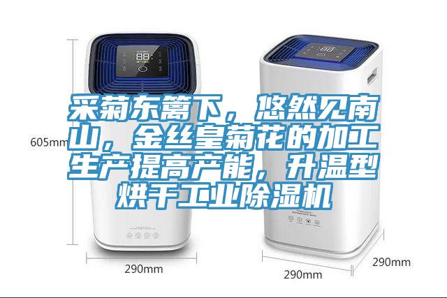 采菊東籬下，悠然見南山，金絲皇菊花的加工生產(chǎn)提高產(chǎn)能，升溫型烘干工業(yè)除濕機
