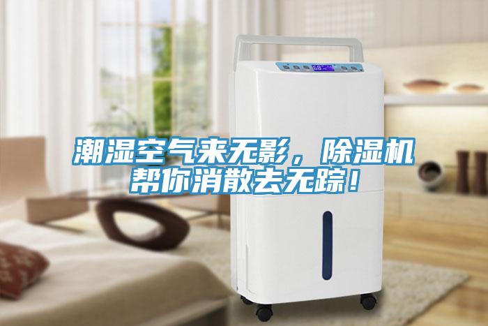 潮濕空氣來無影，除濕機幫你消散去無蹤！